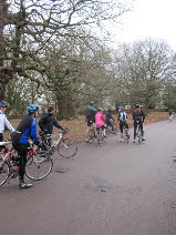 Basic Riding Skills Session