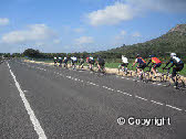 Group training ride in Majorca